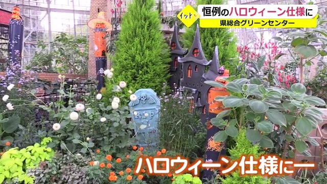 タマネギハウスがハロウィーン一色に 福井県総合グリーンセンター ニュース 福井テレビ