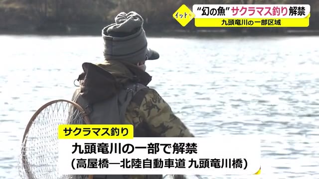 幻の魚 サクラマス釣り 九頭竜川の一部で解禁 福井 ニュース 福井テレビ