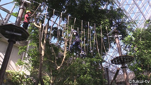 悪天候でも安心 室内ジャングルアスレチックがオープン これまでの放送 おかえりなさ い 福井テレビ